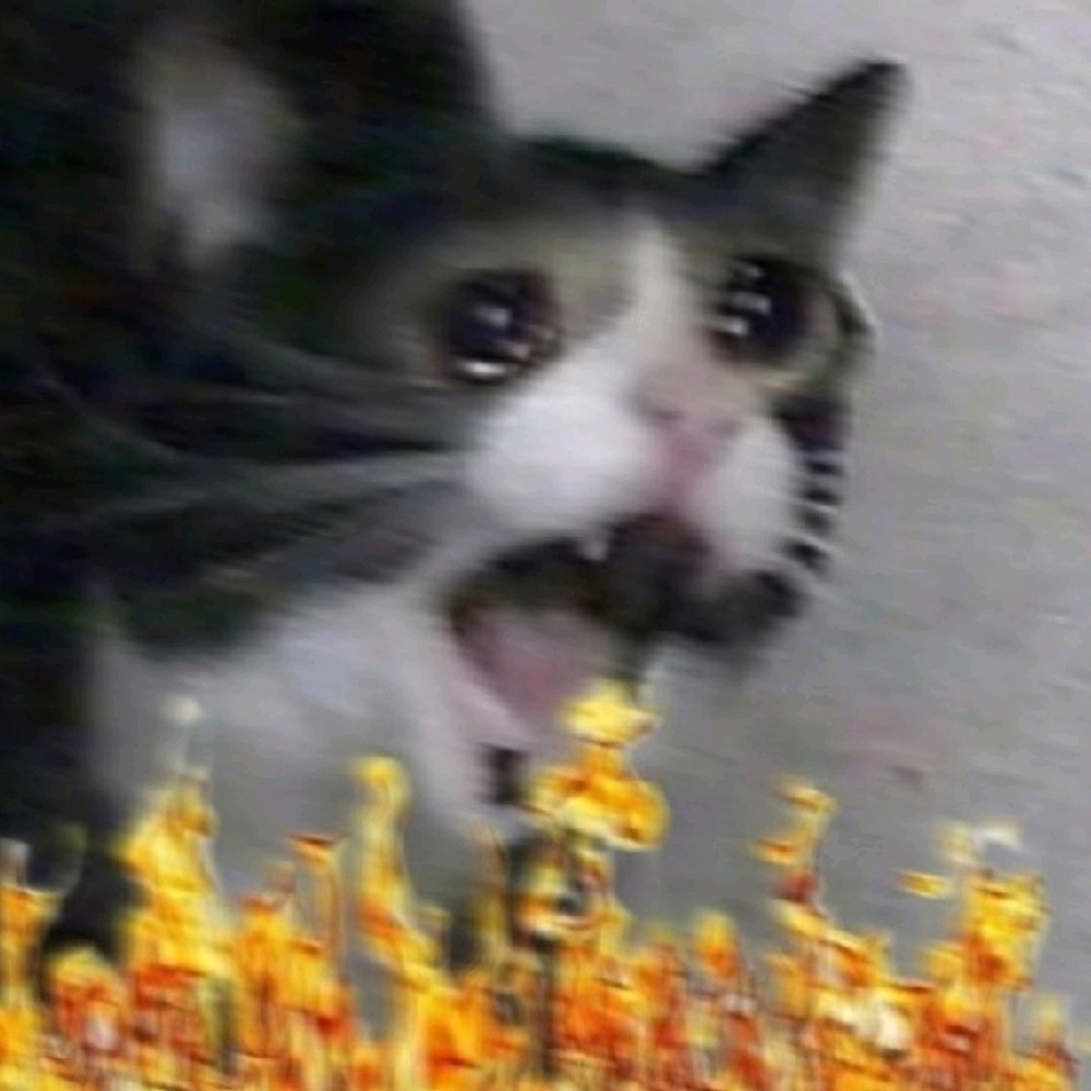 Meet your Posher, Kasia